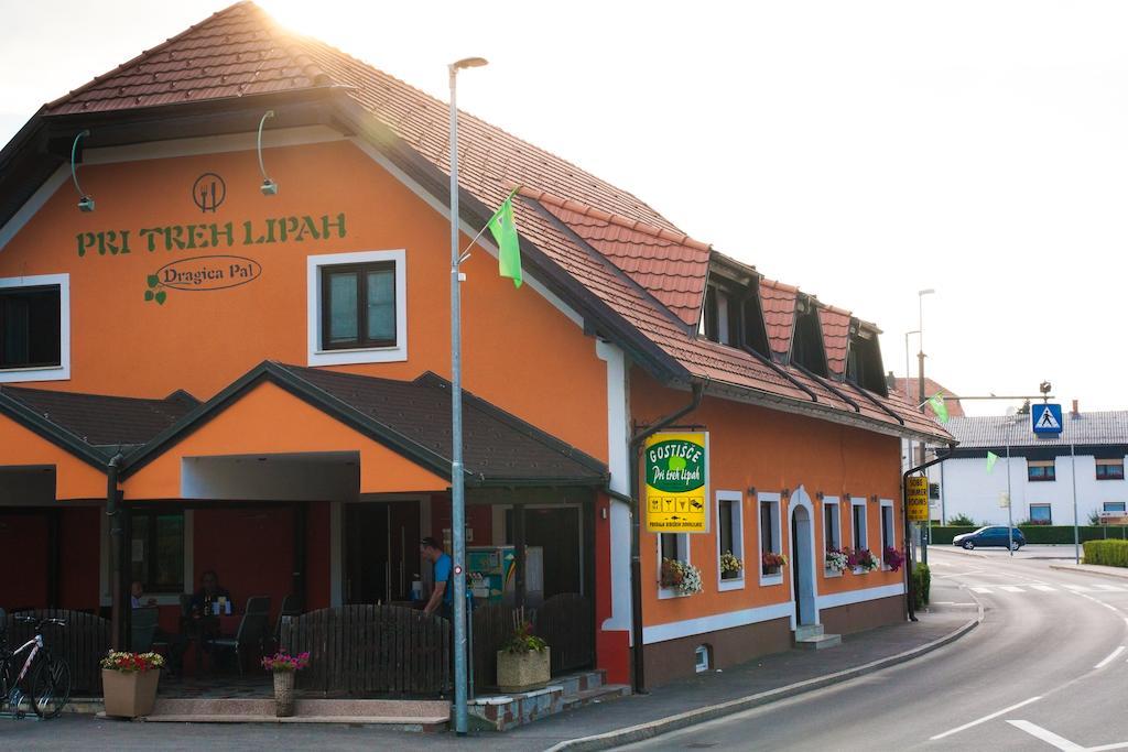 פטוי Guest House Pri Treh Lipah מראה חיצוני תמונה
